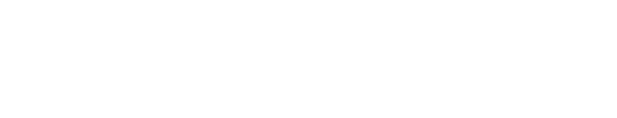 Paradise Store Logo